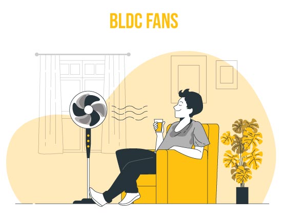 BLDC-Fans.jpg